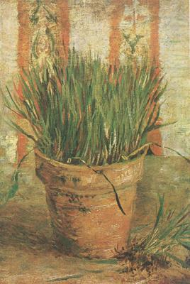 Vincent Van Gogh Flowerpot with Chives (nn04) France oil painting art